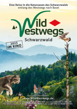 WildWestwegs - Schwarzwald Poster
