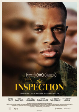 The Inspection Poster